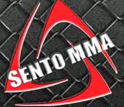 Springfield summer camps